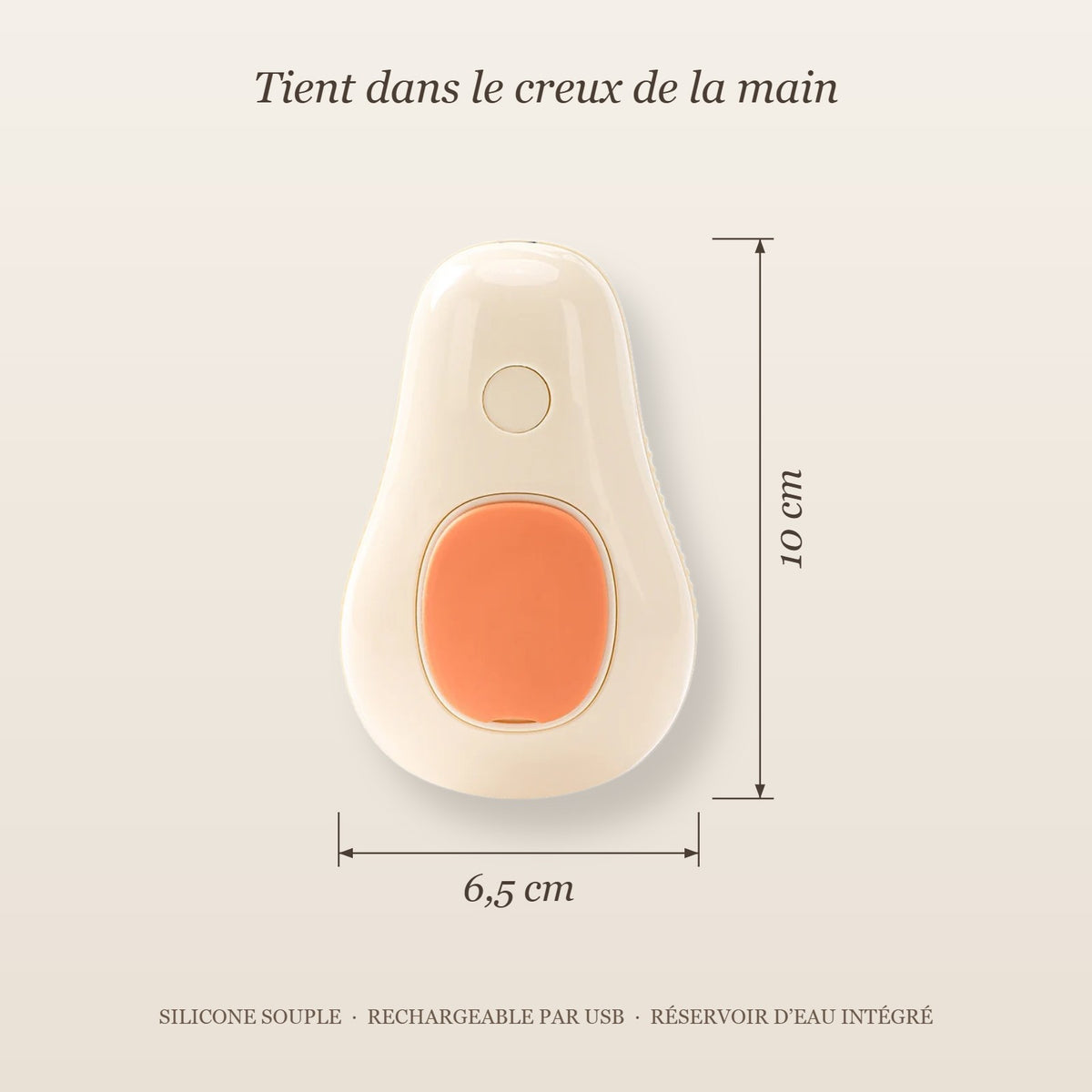 Dimensions de la brosse vapeur : 10 x 6,5 cm