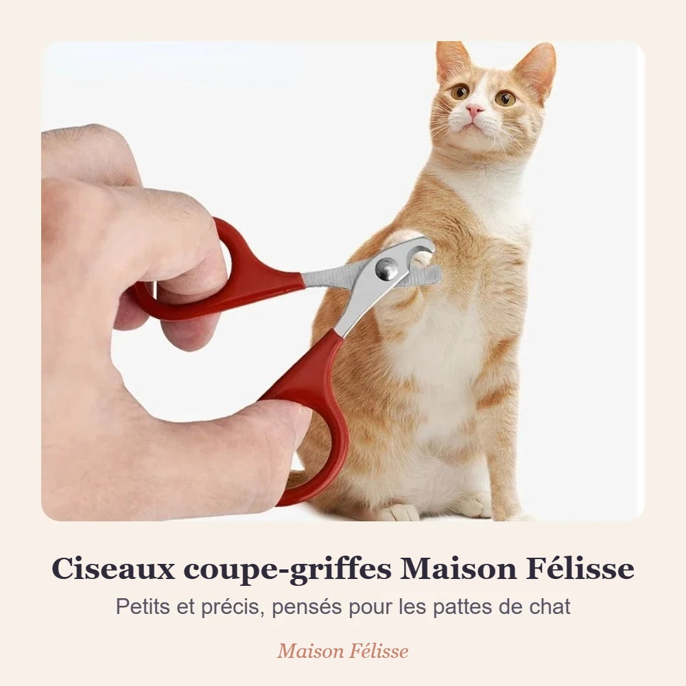 Ciseaux coupe-griffes Maison Félisse — petit format, pensé pour les chats