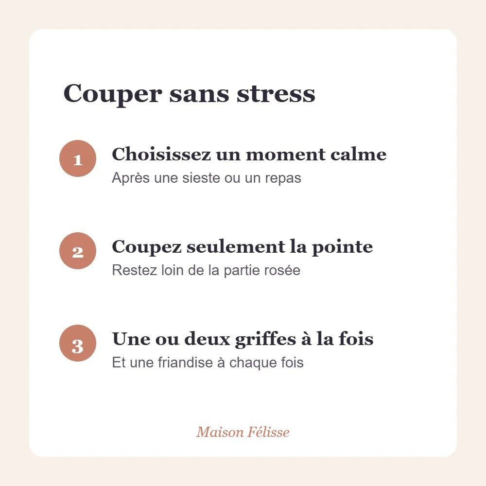 Ciseaux coupe-griffes Maison Félisse — petit format, pensé pour les chats