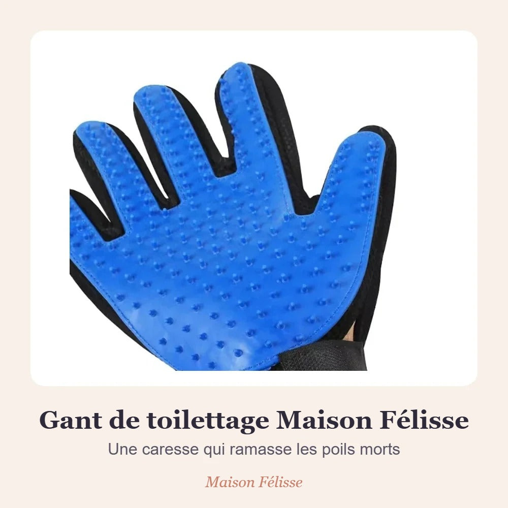Gant de toilettage Maison Félisse — la caresse qui retire les poils morts