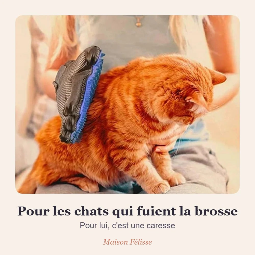 Gant de toilettage Maison Félisse — la caresse qui retire les poils morts