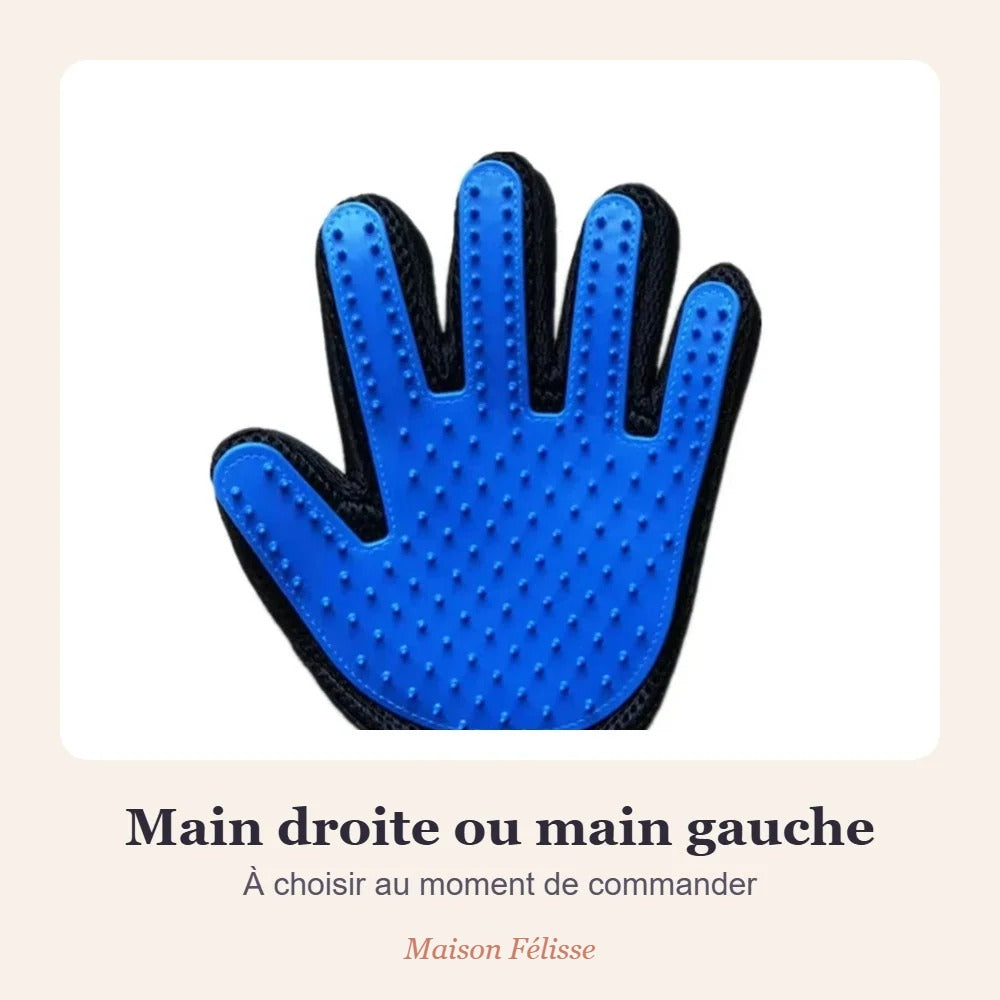 Gant de toilettage Maison Félisse — la caresse qui retire les poils morts