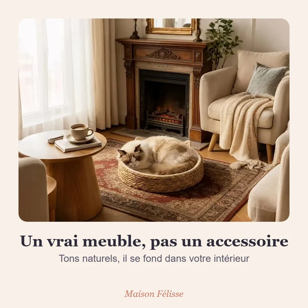 Panier-griffoir Maison Félisse — son lit et son griffoir en un seul objet