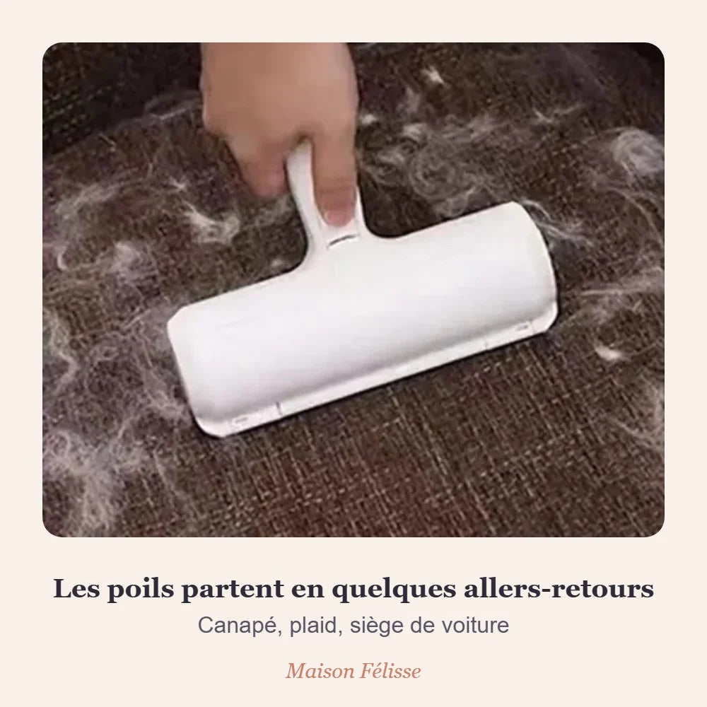 Rouleau anti-poils Maison Félisse — canapé, plaid et vêtements