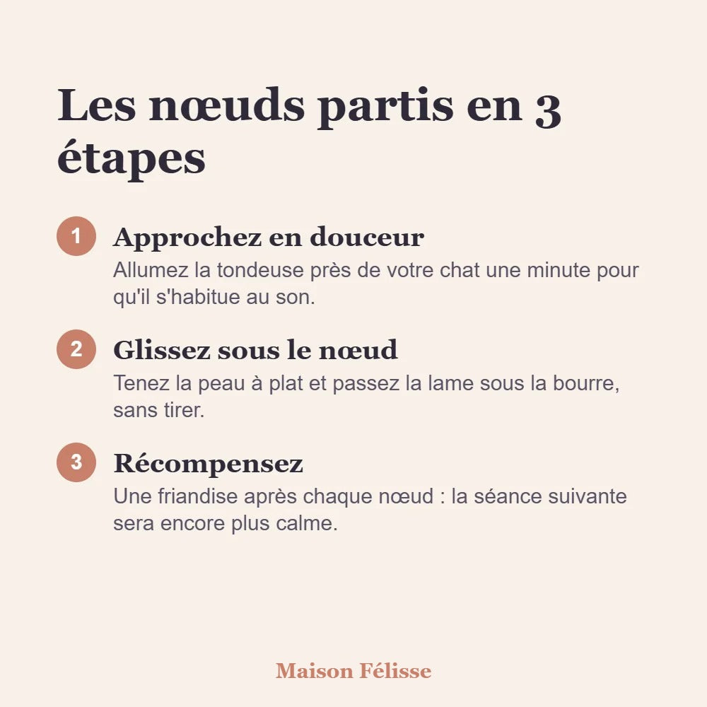 Tondeuse anti-nœuds Maison Félisse — pour chats à poils longs